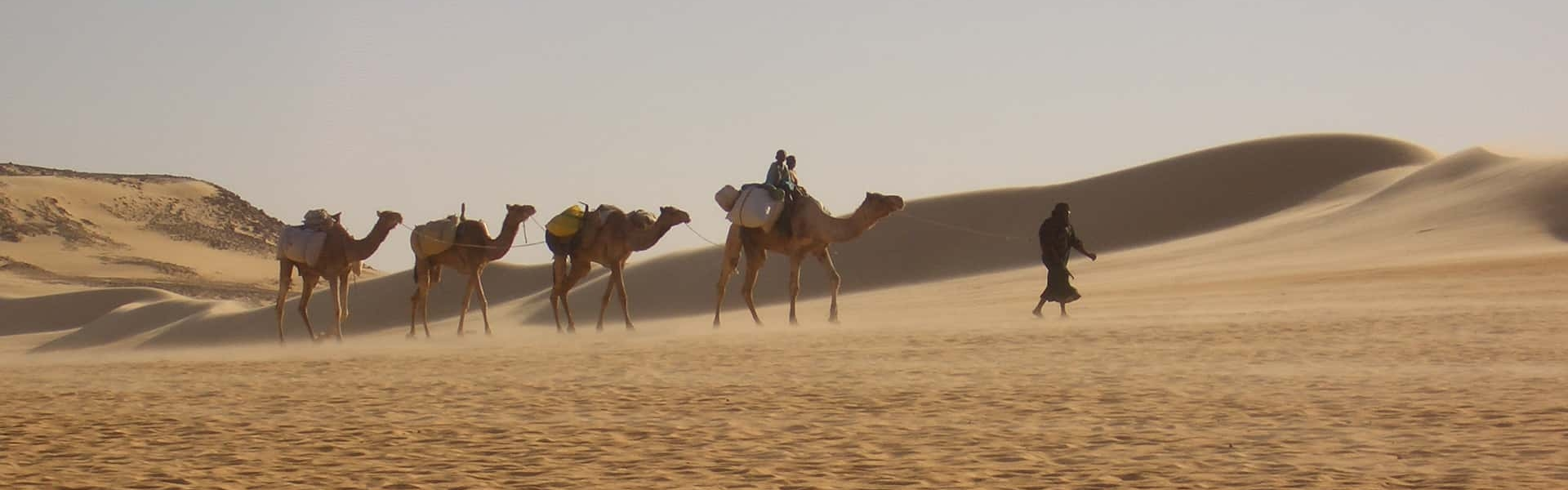 header slide background image