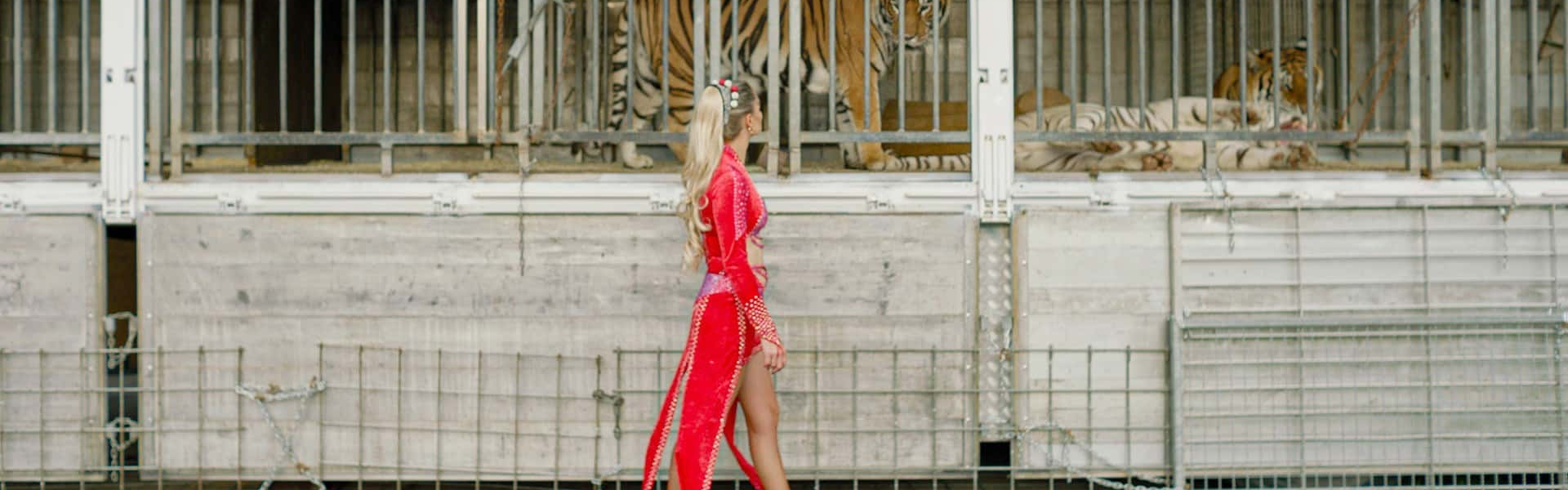 header slide background image