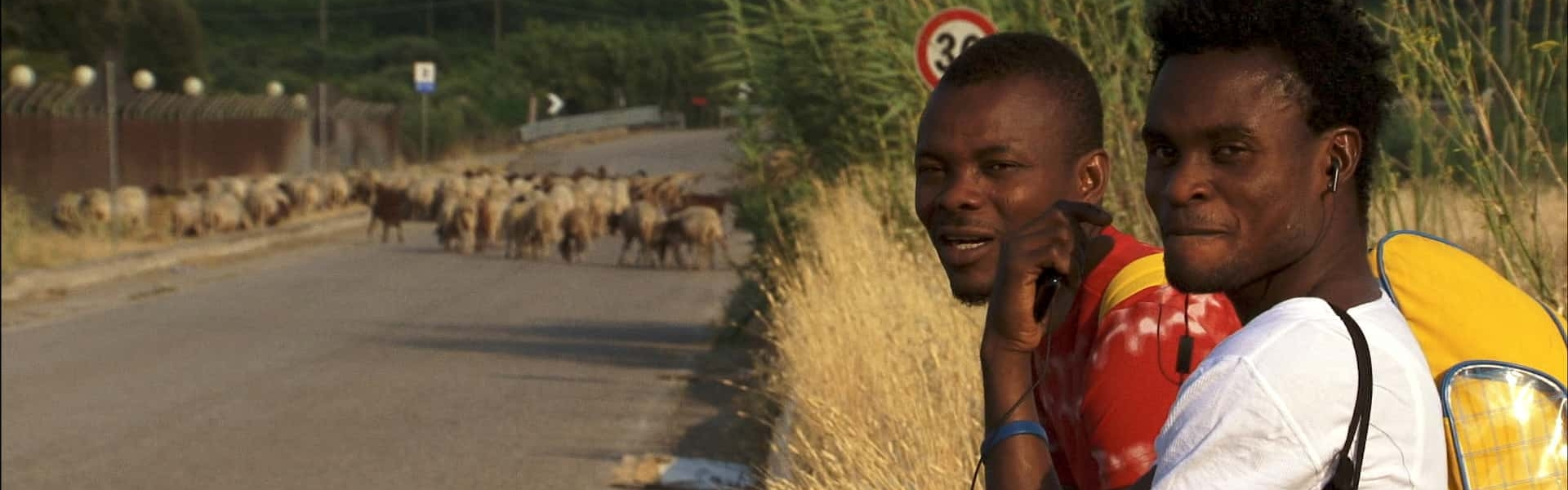 header slide background image