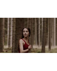 teaser-image